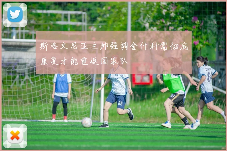 斯洛文尼亚主帅强调舍什科需彻底康复才能重返国家队